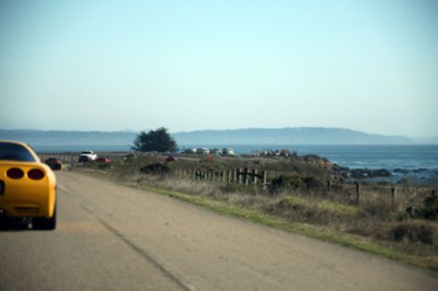 254.jpg