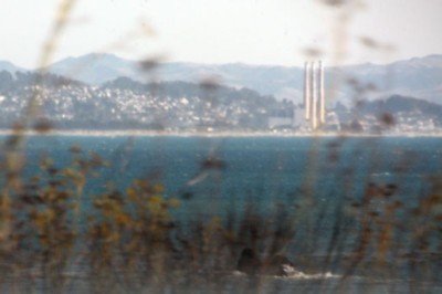 267.jpg