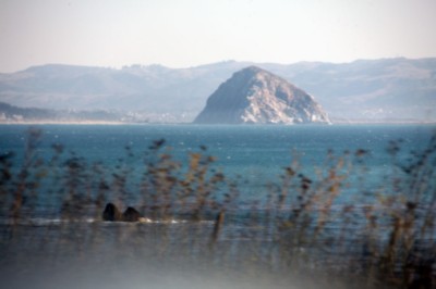 268.jpg