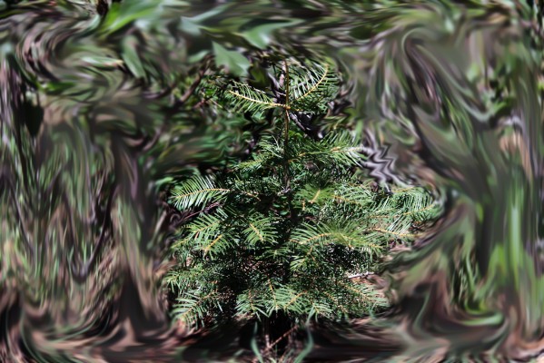 2G0T2210_2.jpg