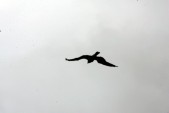 HW7S0404.JPG