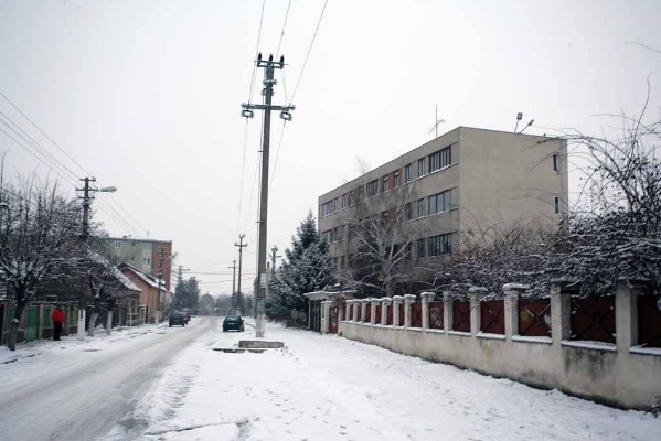 WF2G7050.jpg