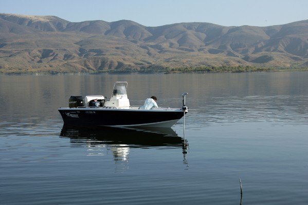 11WF2G2782.jpg
