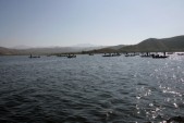 1WF2G2798.jpg