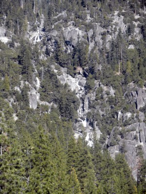 P2100007.jpg